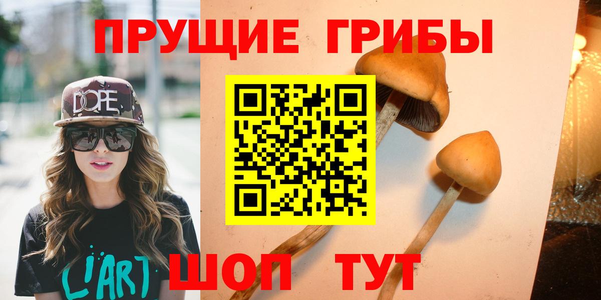 Серпухов  Галлюциногенные грибы Cubensis  Псилоцибиновые грибы мухоморы  Вход с VPN 
